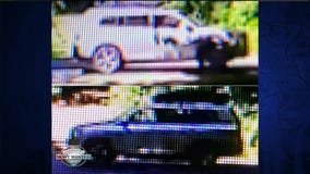 WANTED: Dispicable dog thieves