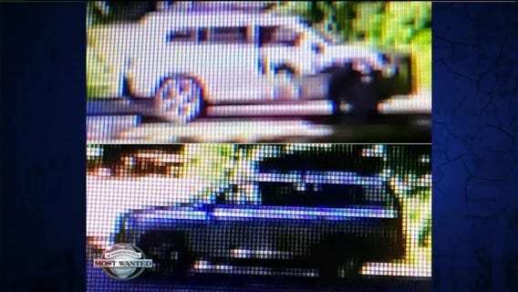 WANTED: Dispicable dog thieves