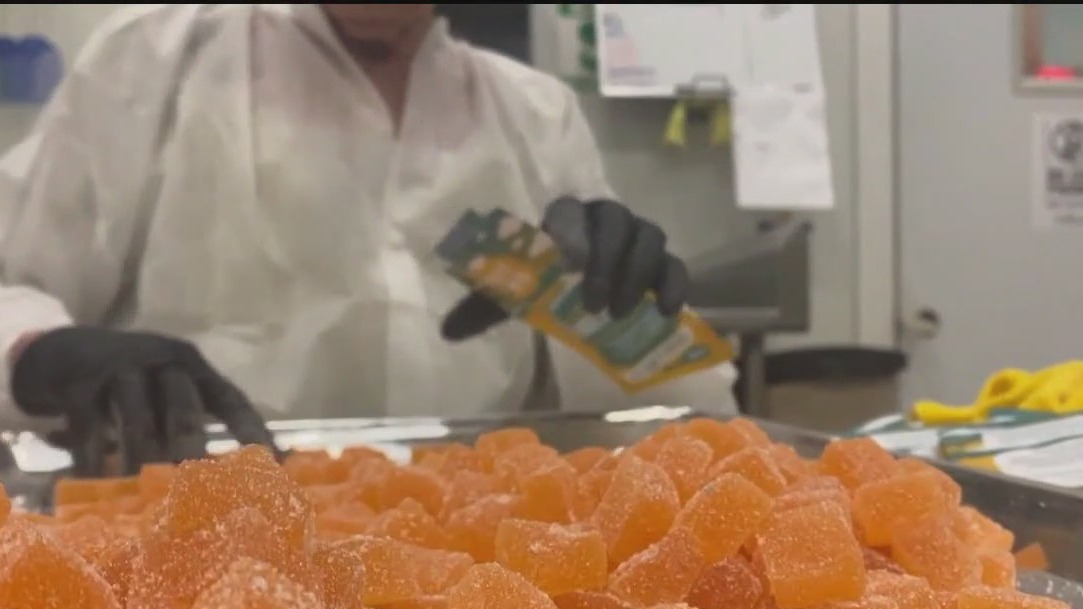 THC edible production in Minnesota