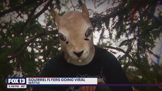 Squirrel flyers go viral in Seattle