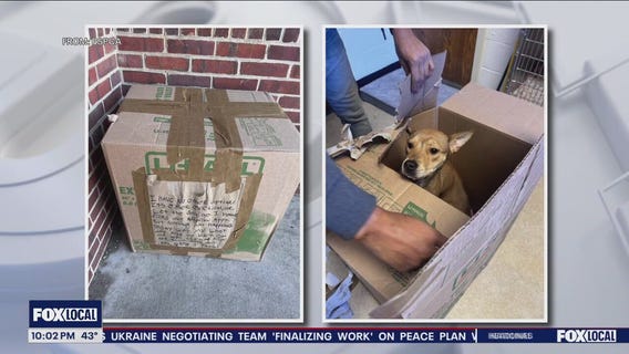 Puppy left in box outside SPCA with heartbreaking note