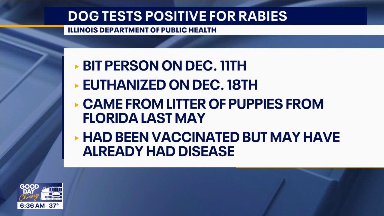 Illinois shelter dog tests positive for rabies after biting person