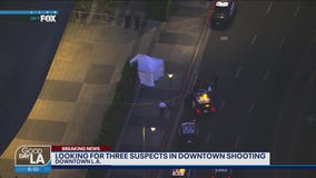 Deadly DTLA shooting