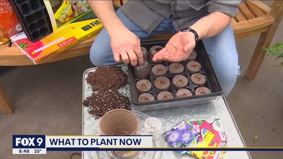 Getting a head start on your spring planting with Garden Guy Dale K