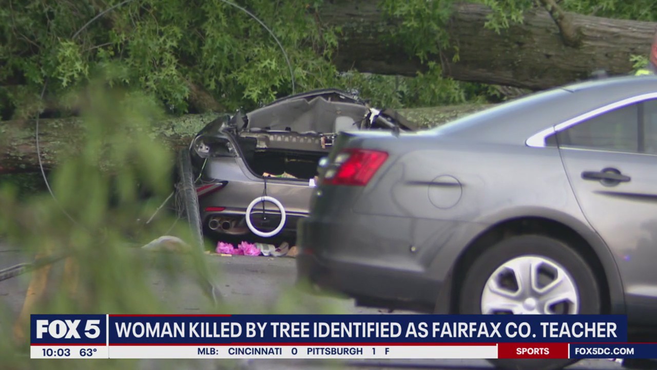 Woman killed by fallen tree identified as Fairfax County teacher | FOX 5 DC