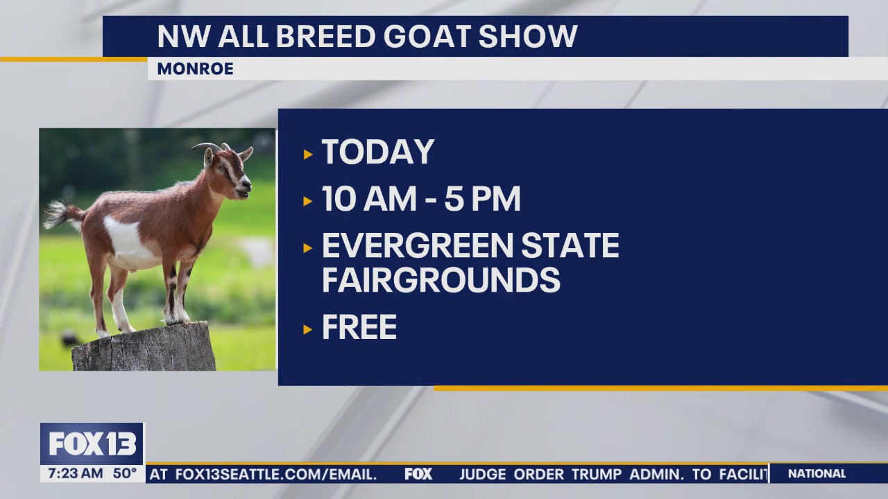 Things to do with the kids this Memorial weekend