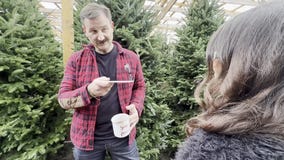 Candy Cane Canine Christmas | The Ten Holiday Movies