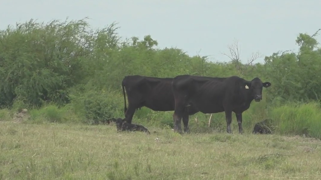 Some South Texas residents anxious about Title 42 ending