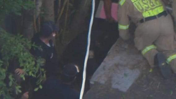 Remains of missing person found buried in LA