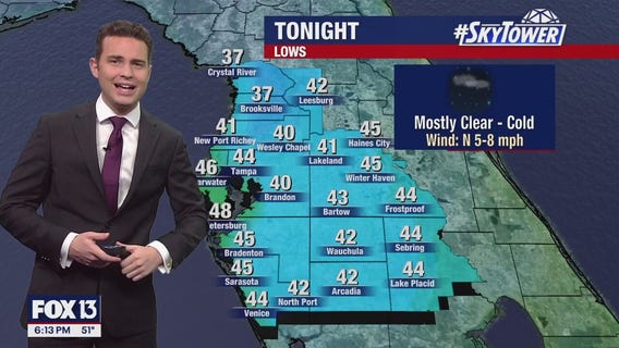 Tampa weather | Cold temperatures overnight