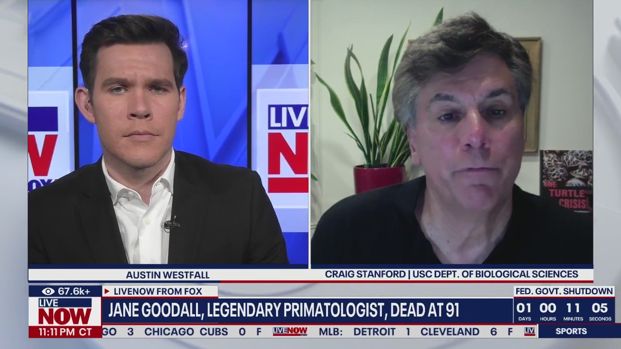 Anthropologist on the life and legacy of Jane Goodall