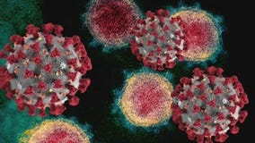 COVID cases continue to surge in LA County