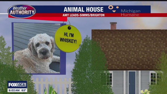 Welcome Whiskey, Aida, Zenna, Bobby