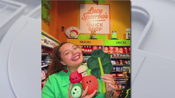 Felt art pop-up shop at Floridarama