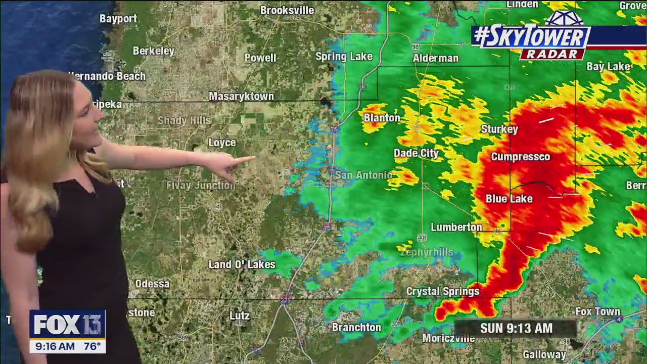 Tampa weather | Sunny skies and comfortable temps