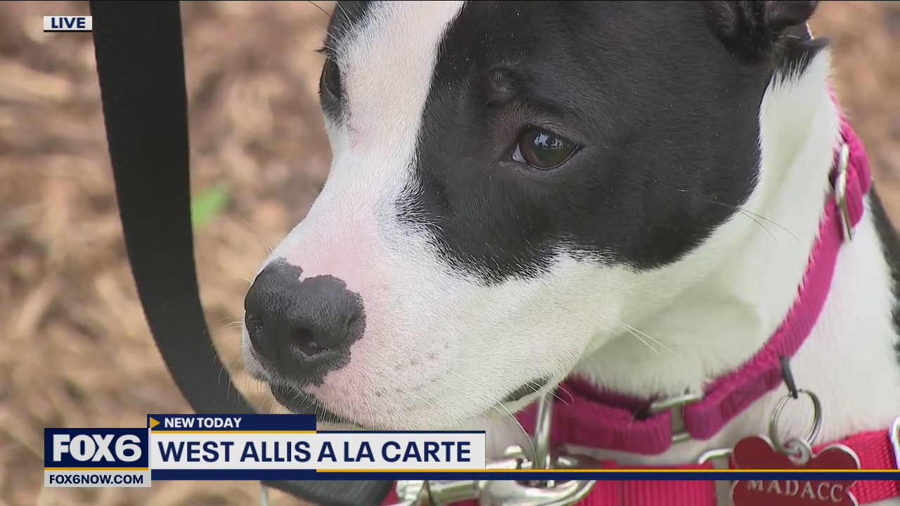 Animal Avenue at the West Allis A La Carte