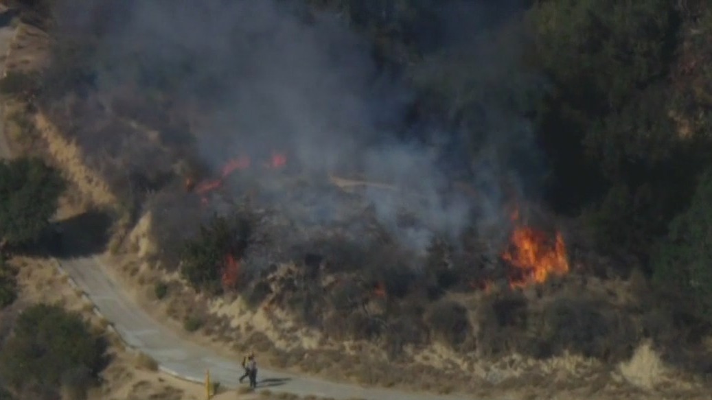Griffith Park Fire: Alleged arsonist in custody