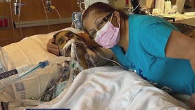 Houston ISD woman let go for taking time off