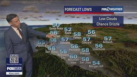 Mild to warm forecast