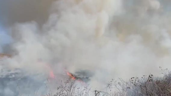 Prescribed burns: Why Wisconsin is behind on the trend