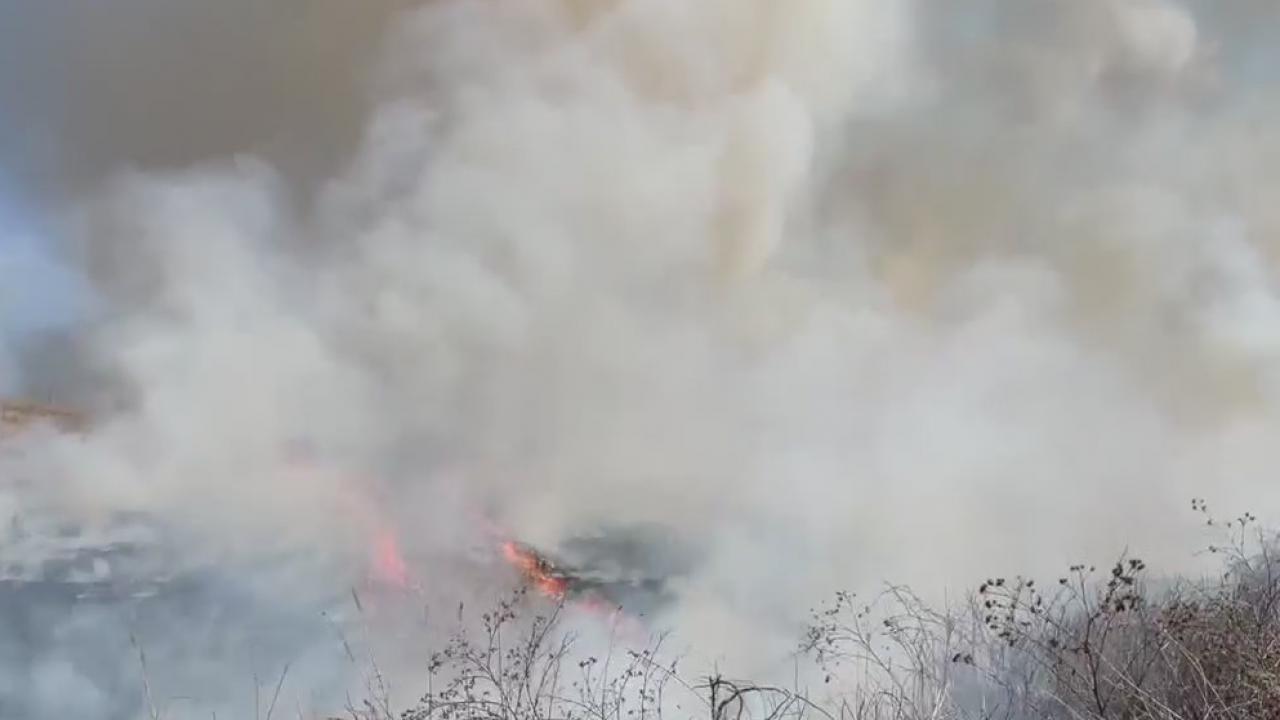 Prescribed burns: Why Wisconsin is behind on the trend