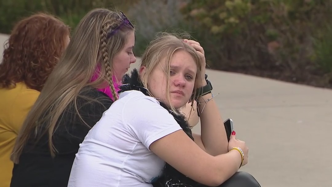 Harry Styles postpones Chicago concert to fans dismay