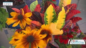 Updating your planters for fall