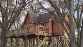 Escape city life at Bonnet Springs Park in Lakeland