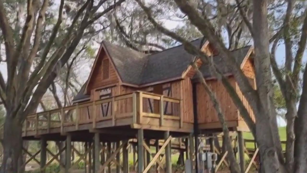 Escape city life at Bonnet Springs Park in Lakeland