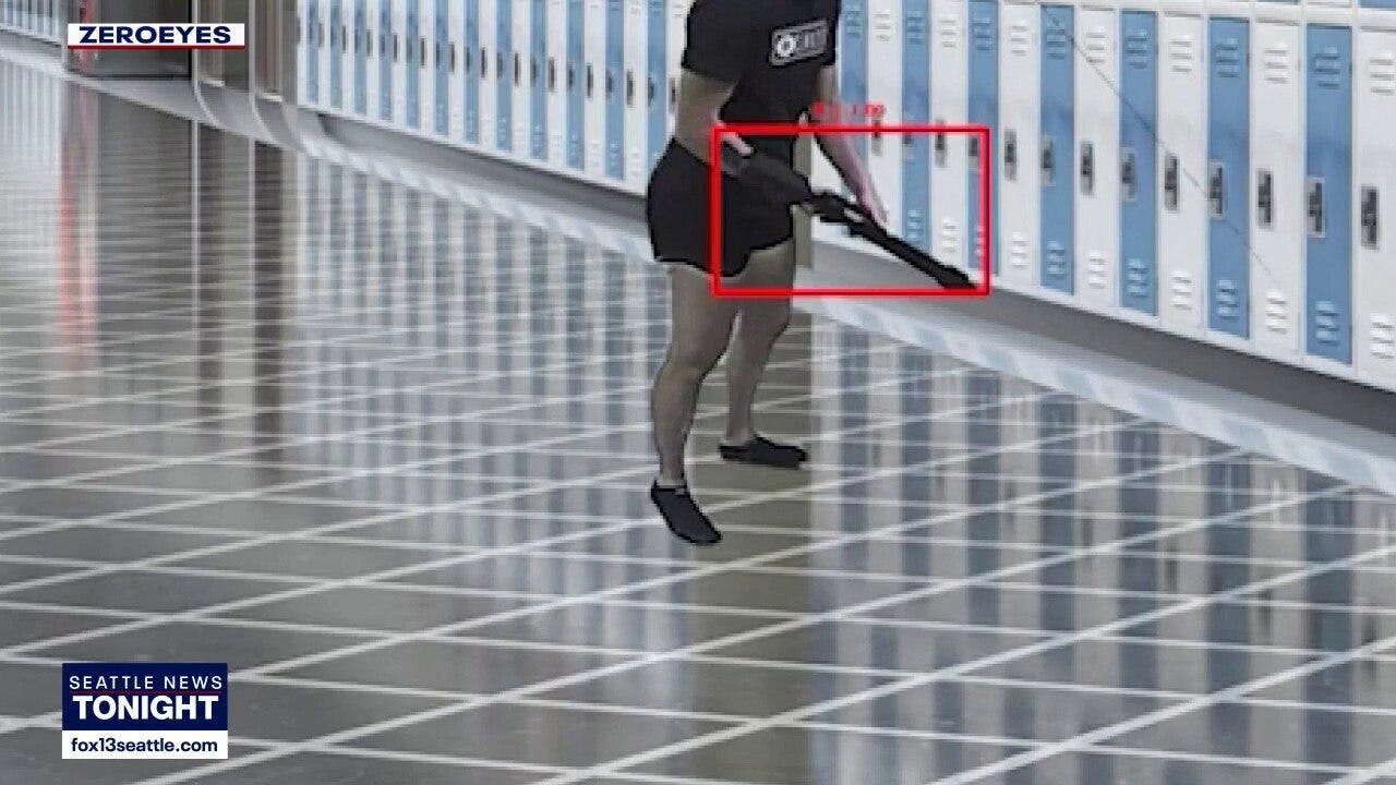 AI software aims to spot guns before shots are fired