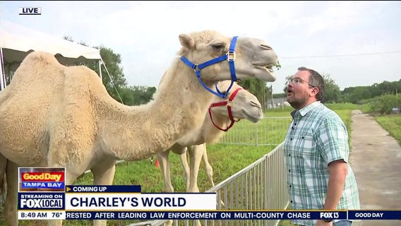 Good Day Goodies | April 5, 2024