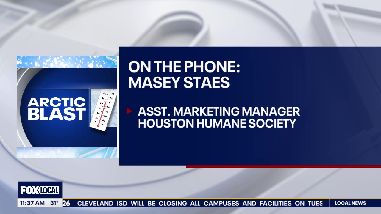 Keeping animals safe during arctic blast