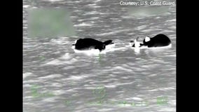 5 rescued after boat sinks off Florida coast