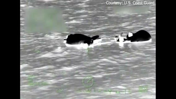 5 rescued after boat sinks off Florida coast