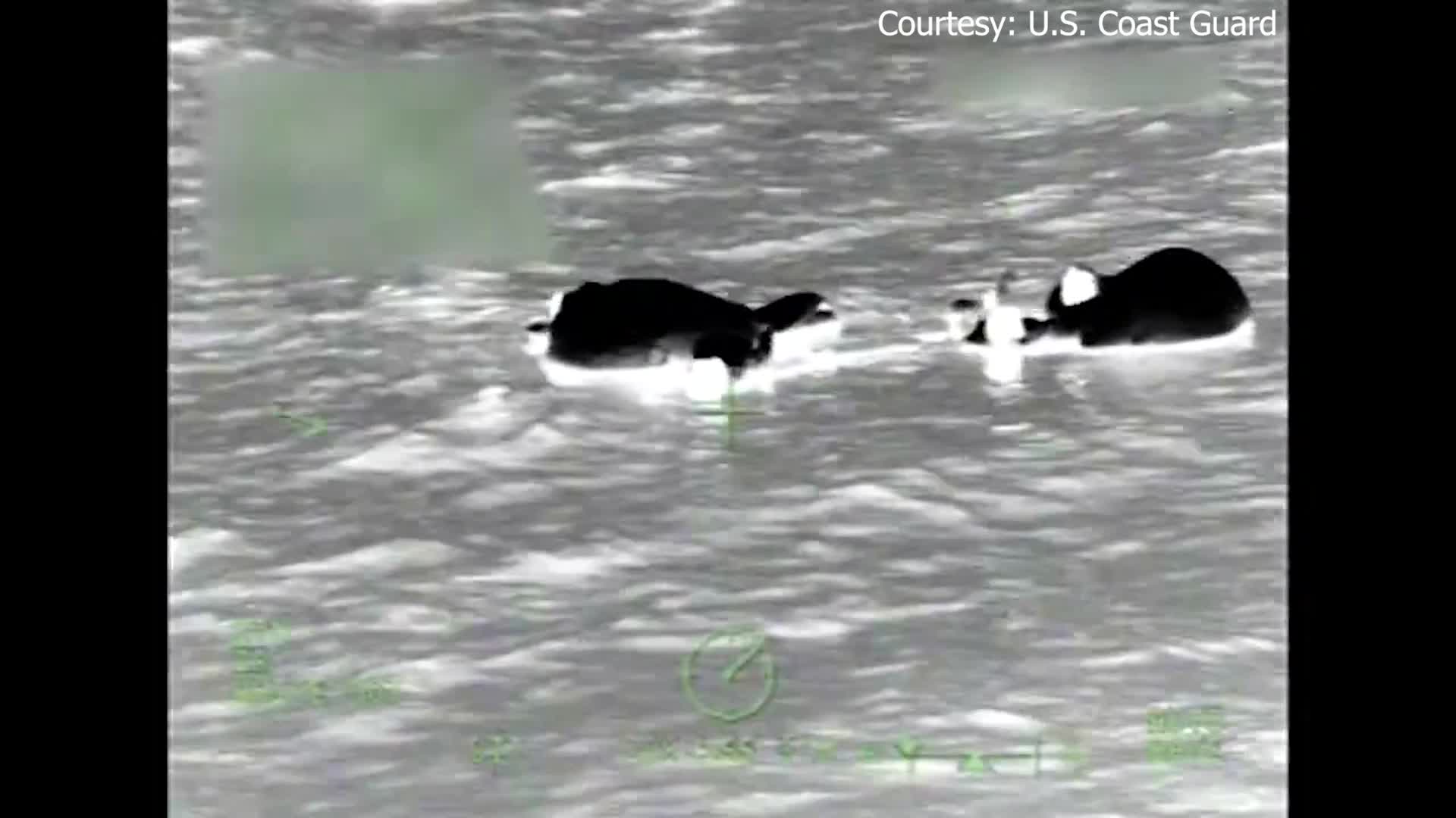 5 rescued after boat sinks off Florida coast