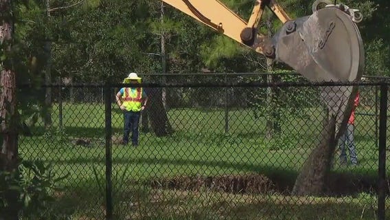 Crews fill Seffner sinkhole
