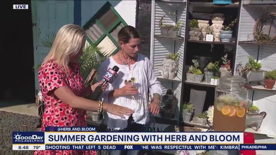 The Shoppes at Medford Mill is your one-stop shop for summer