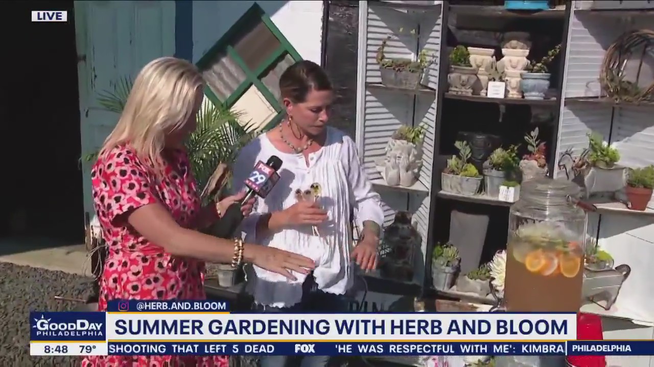 The Shoppes at Medford Mill is your one-stop shop for summer