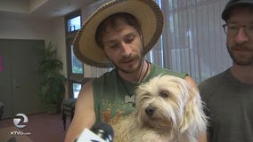 July 5th a busy day for animal shelters