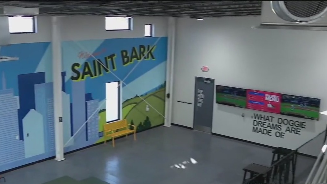 Saint Bark, first and only dog park bar in St. Paul, ready to open