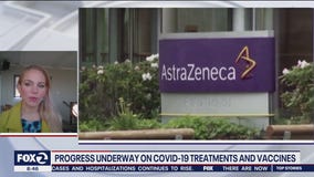 Vaccine developments are great news, but more work needs to be done, says expert