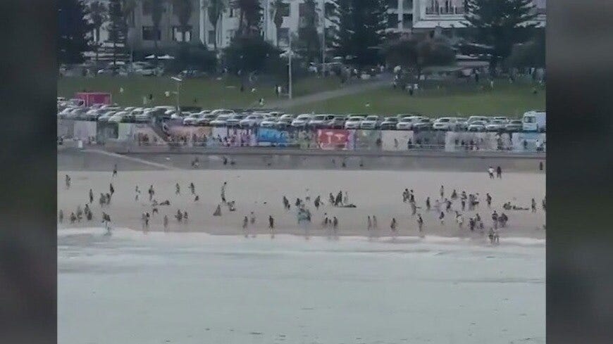 Father and son gunmen kill at least 15 people in attack on Hanukkah event in Australia