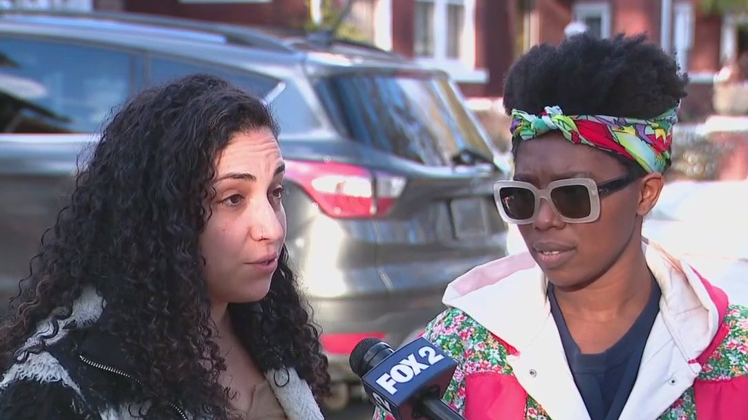 What is Detroit Grocery Buddy?