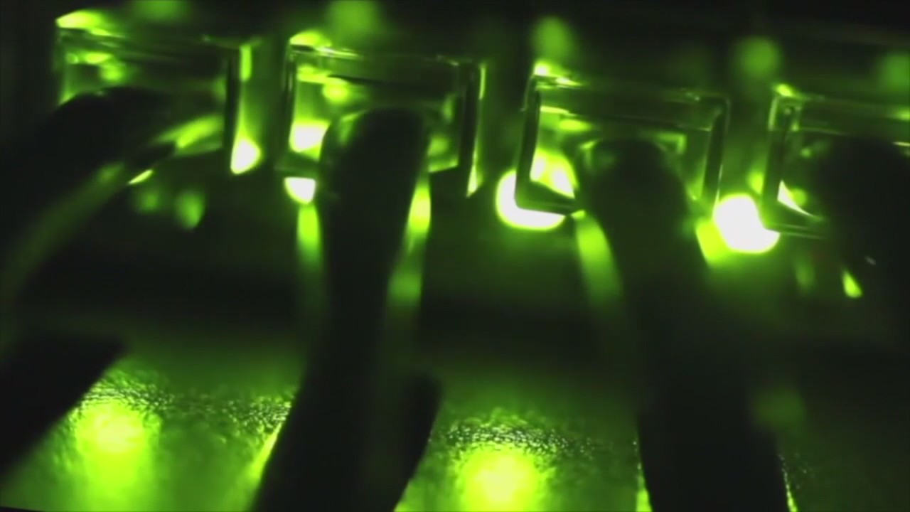 What bridging Detroit's digital divide will take