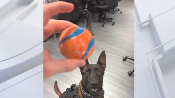 Burbank K9 Spike to be honored with service