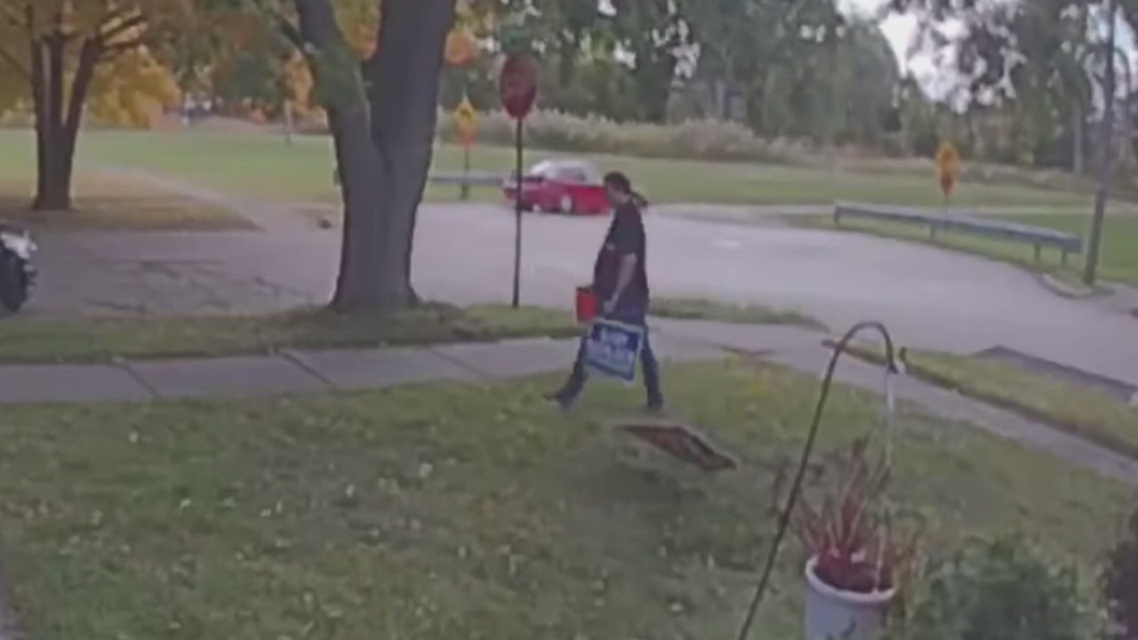 Video captures Allen Park councilman taking, vandalizing opponents' political signs