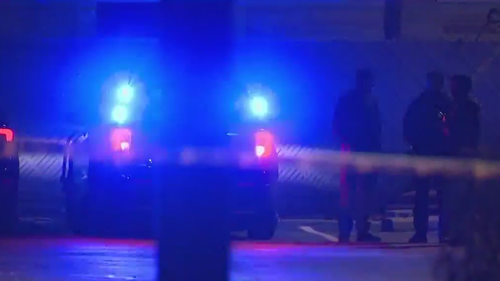 Detroit police shoot fleeing suspect