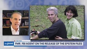 Epstein Files: Ex-FBI agent on what to expect | The Post