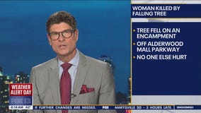 Bomb cyclone: Woman killed by falling tree in Lynnwood, WA