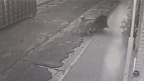 Several Venice, Marina del Rey shops burglarized